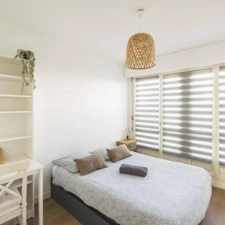 Elegant Saint Remi *